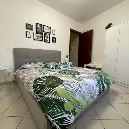 Castelli Home - Castelli Apartments ألبانو لاتسيالي المظهر الخارجي الصورة