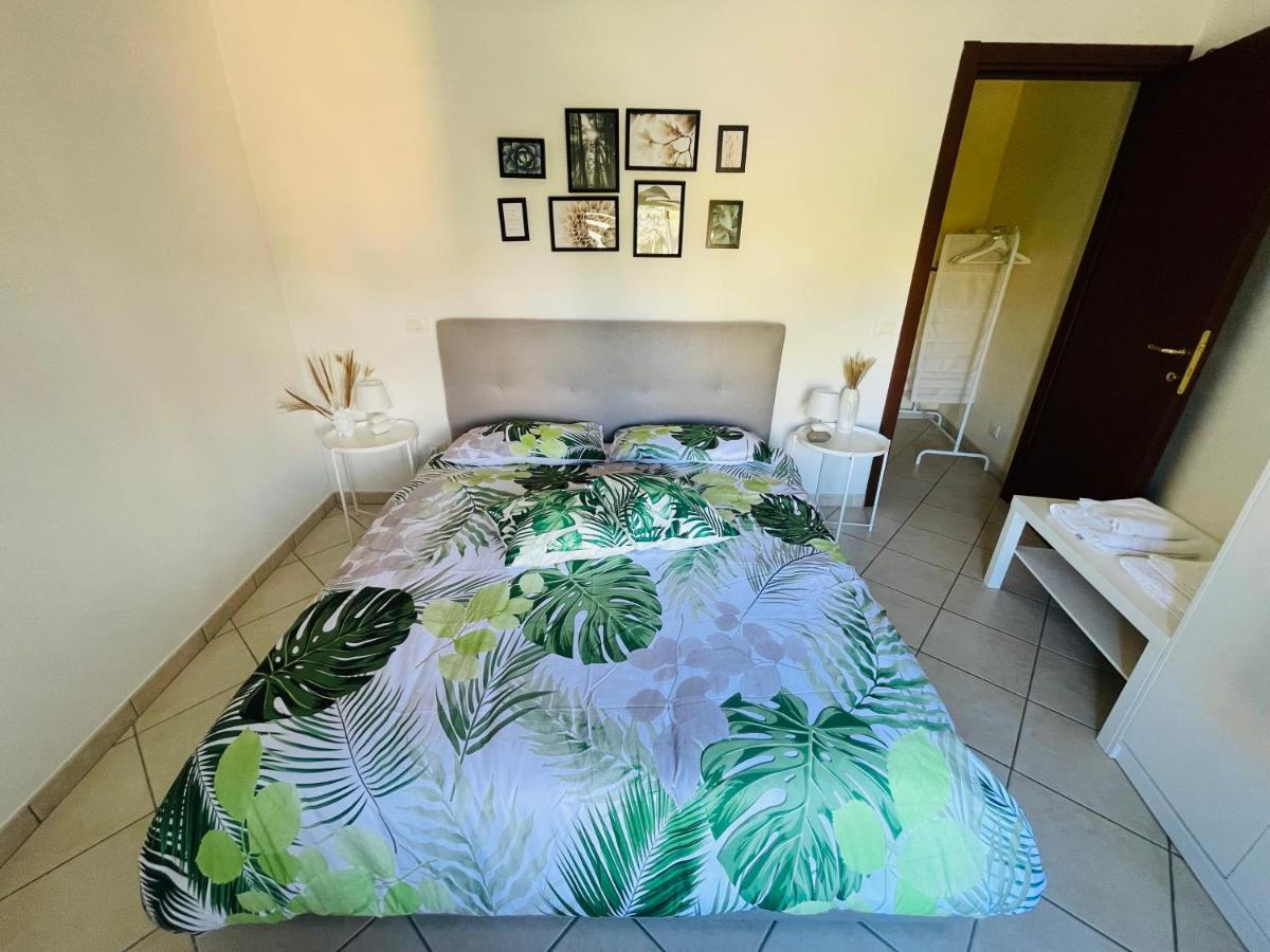 Castelli Home - Castelli Apartments ألبانو لاتسيالي المظهر الخارجي الصورة